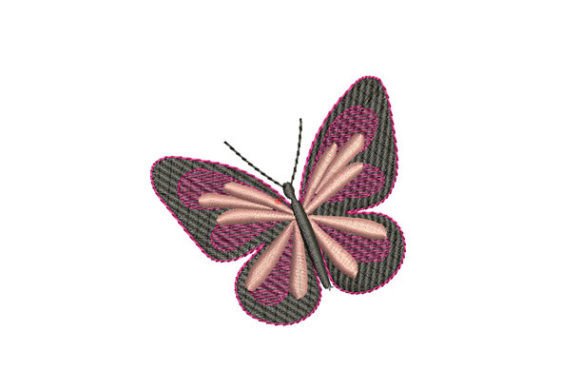 Black Butterfly