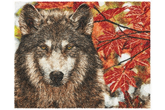 Wolf